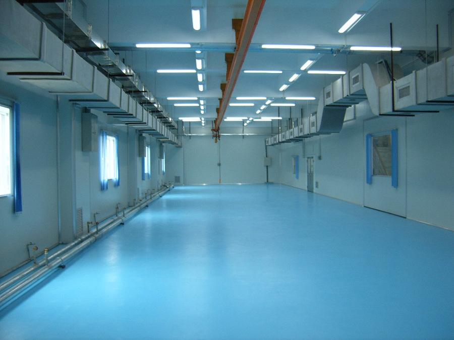 東莞鳳崗塑膠電子有限公司十萬(wàn)級(jí)無塵車間完工